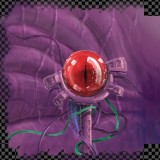 eyes (3) - biochemical eye